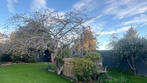 A backyard with a lawn, a wooden deck, and various trees and shrubs. - Beach Valley Air B & B (Tuatapere)