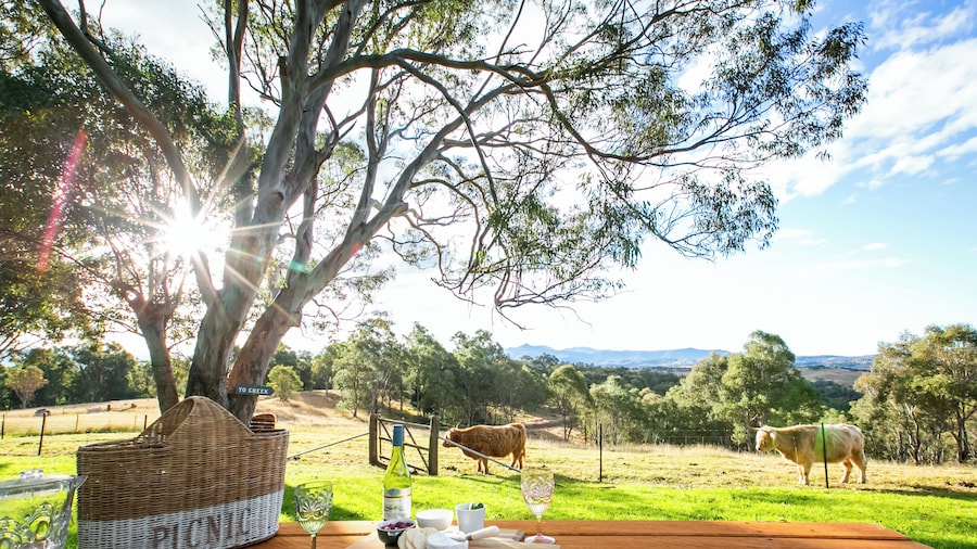 Bumblebrook Farm Motel