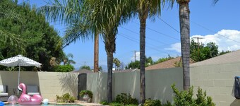 Stylish Home with Gorgeous Swimming Pool