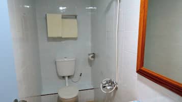 Habitación básica doble | Baño | Ducha, secador de pelo, zapatillas y jabón