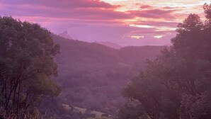 A natural landscape with trees and a valley.