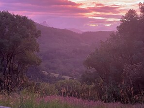 Un paysage naturel avec des arbres et une vallée.