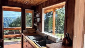 A wooden cabin interior with a kitchen area, wooden cabinets, a sink, and a window overlooking a forested landscape.