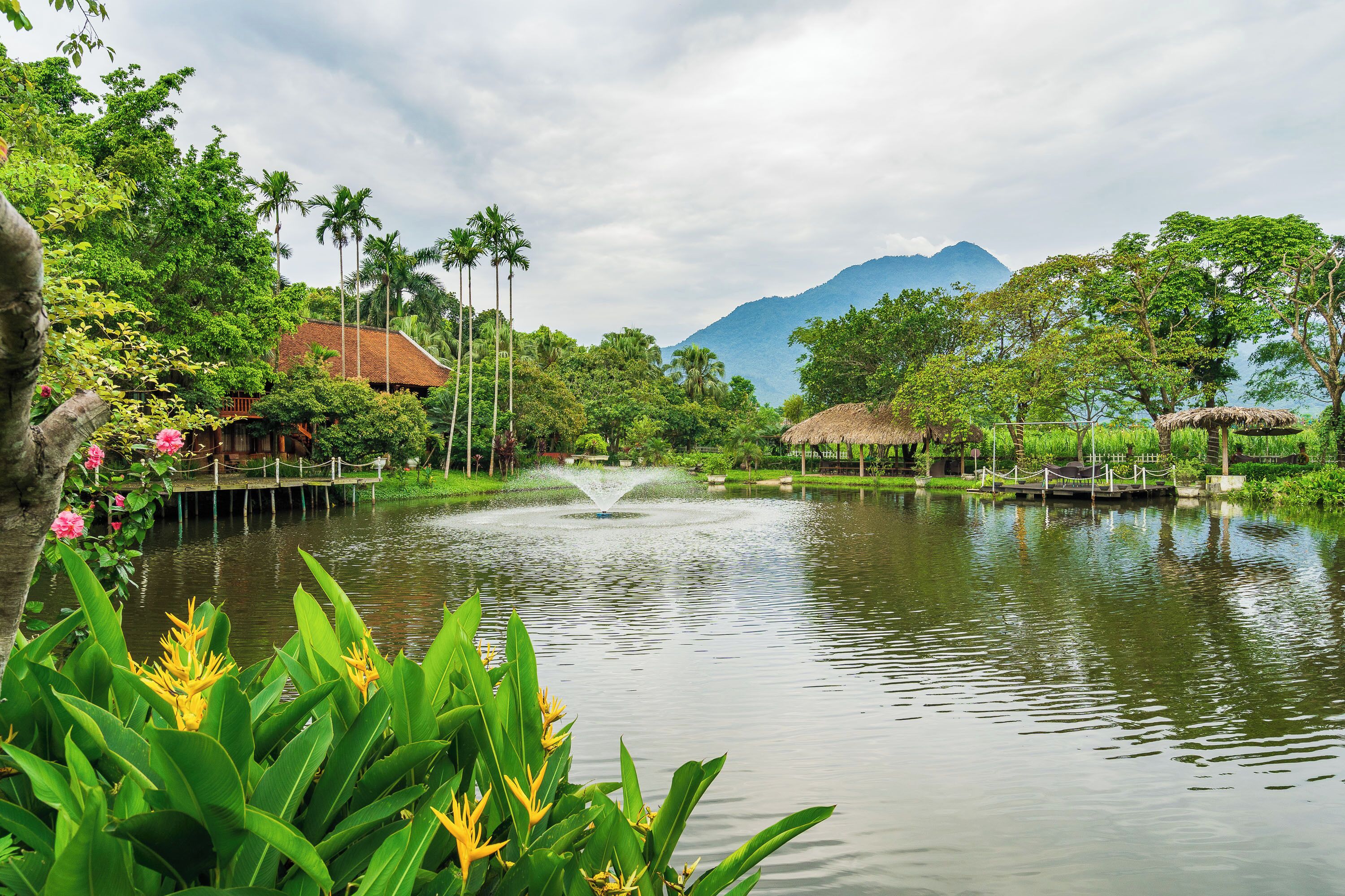 Quang cảnh nhìn từ nơi lưu trú