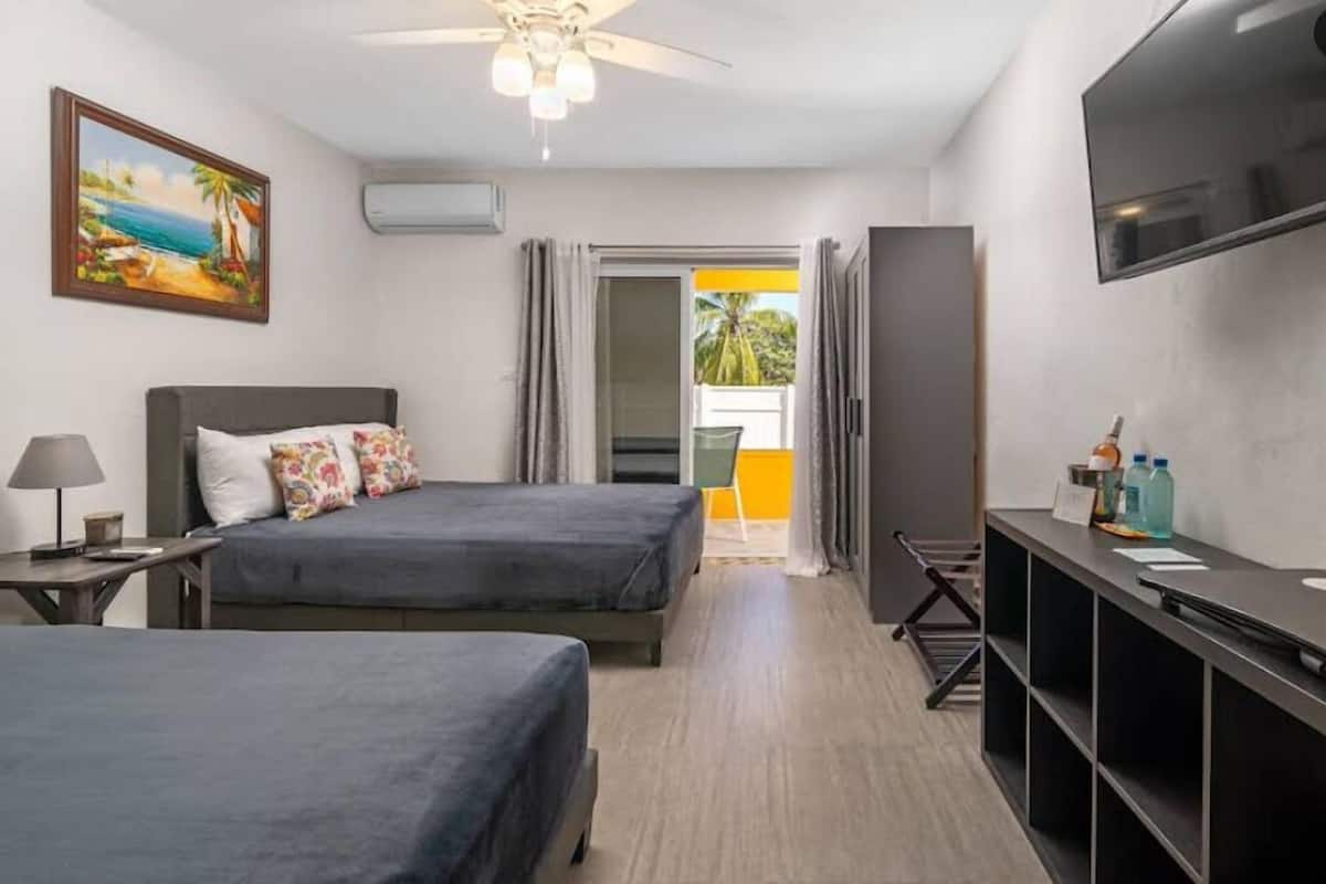 Cortinas blackout y wifi gratis