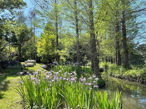 Courtyard - Full Blossoms Garden House (Puli)