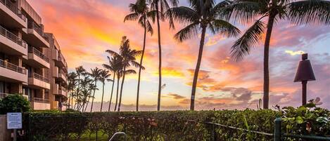 Una piscina climatizada