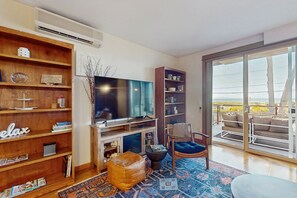 TV, fireplace, books