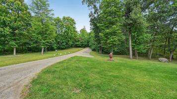 A gravel path leading through a grassy area with trees on both sides.
