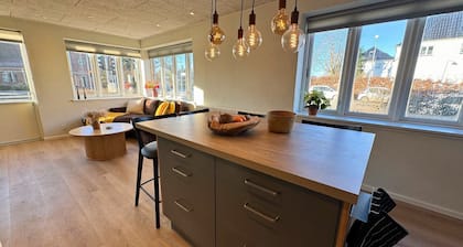 Cozy & Modern Living in Central Odense