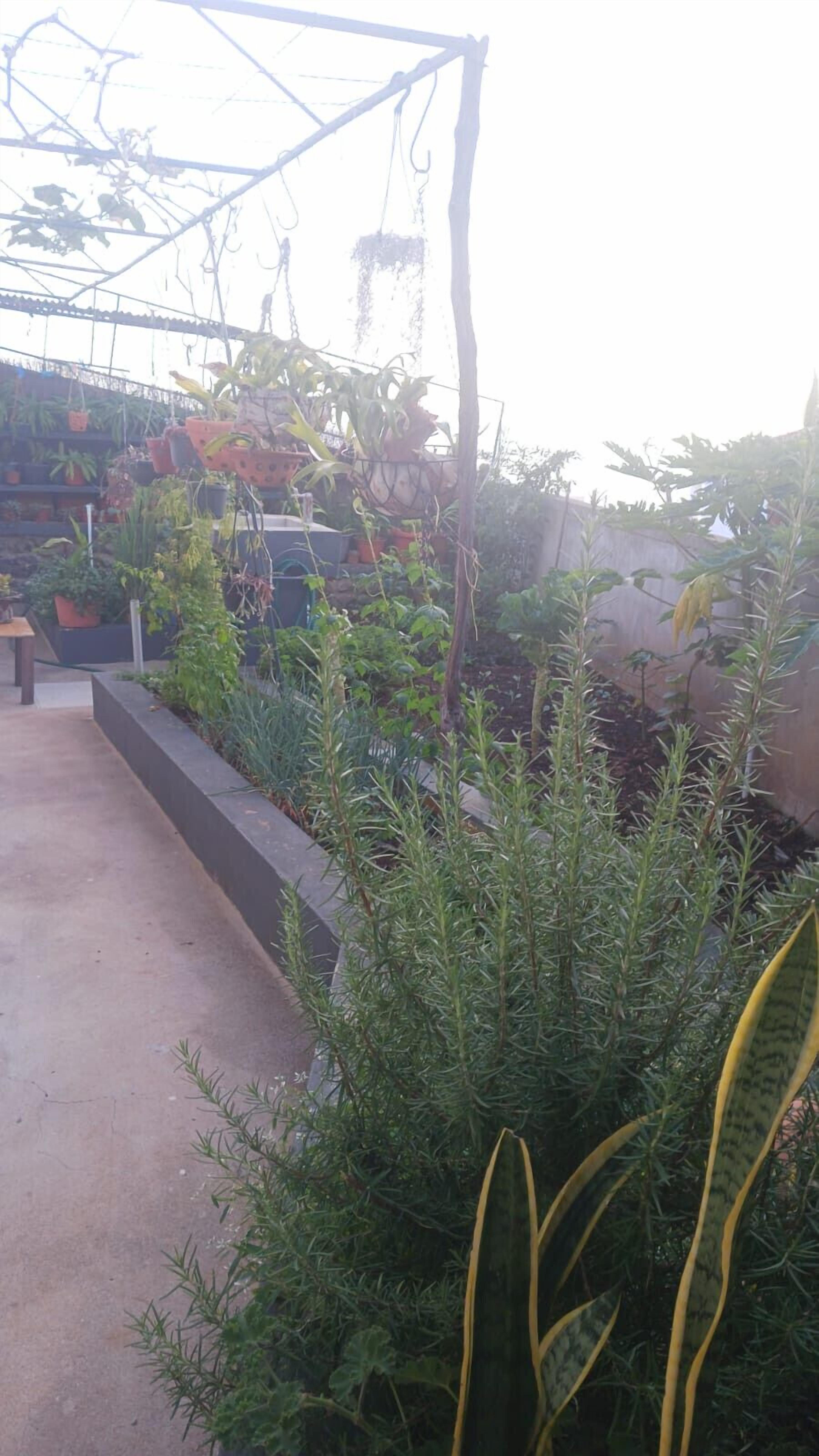 Apartment, Smoking | 1 bedroom