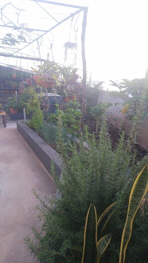 Apartment, Smoking | 1 bedroom