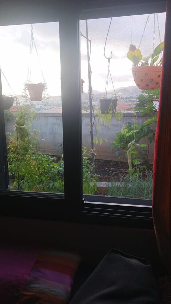 Apartment, Smoking | 1 bedroom