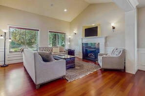 TV, fireplace, books