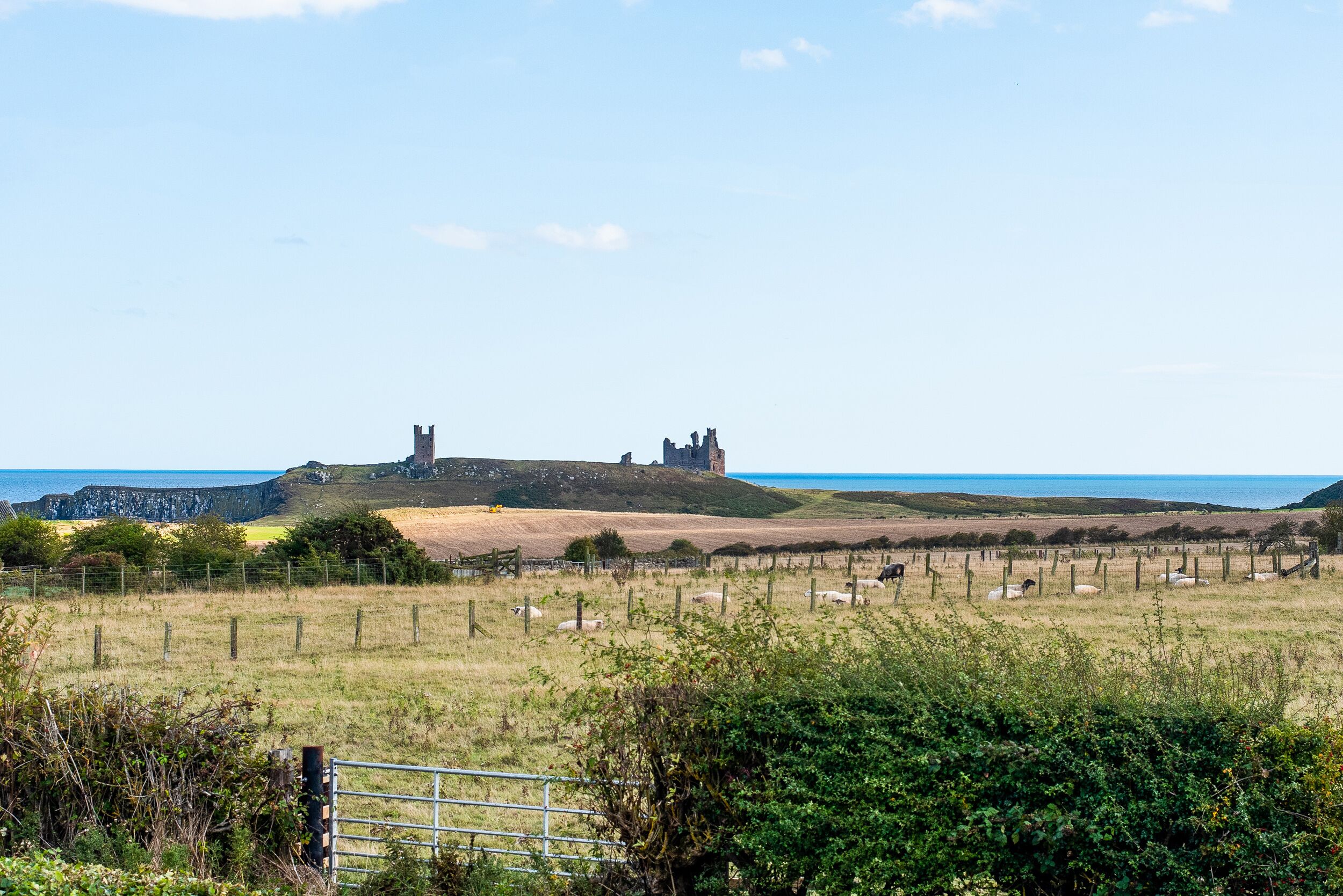 A rural landscape with a historic stone structure on a hill, a fenced field with sheep, and a clear sky.