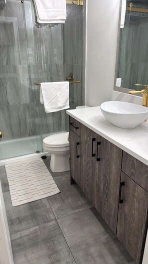 Shower, hair dryer, bidet, towels