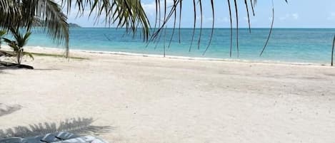 Una playa con una palmera y una vista despejada del océano.