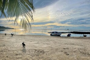 A beach with a volleyball net, boats, and a palm tree. - Samui Camping Farm (Koh Samui)