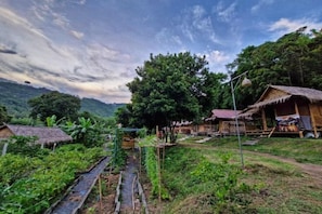 View from property - Samui Camping Farm (Koh Samui)