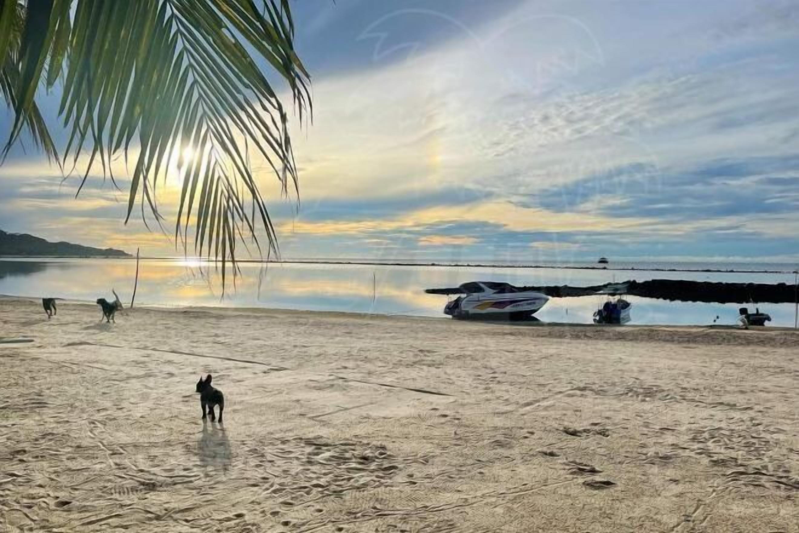 Utsikt fra overnattingsstedet