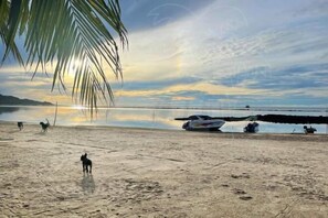 Kilátás a szállásról