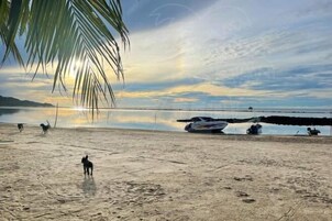 Vista desde la propiedad