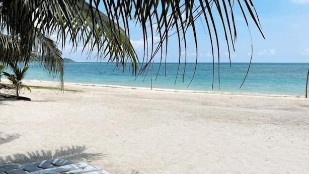 A beach with a clear view of the ocean, a palm tree, and a lounge chair. - Samui Camping Farm (Koh Samui)