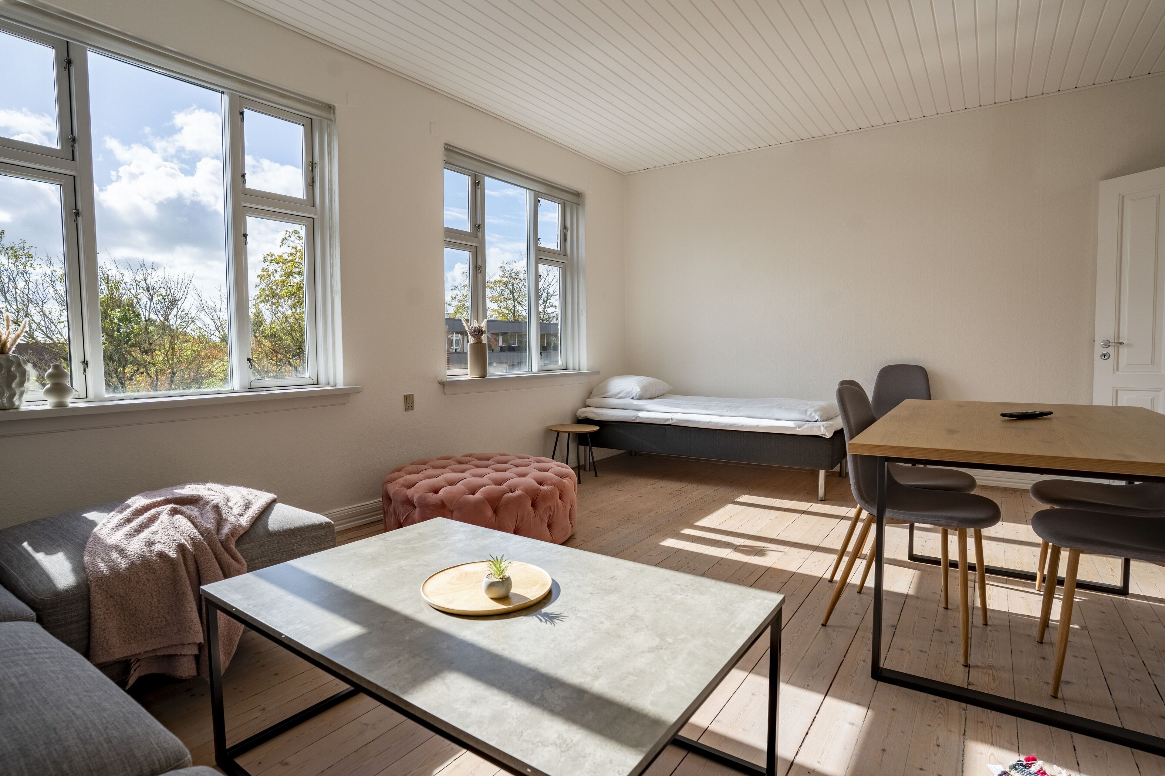 A bright, sunlit room with a wooden floor, a grey sofa, a small round table with a plant, a wooden dining table with chairs, and a bed with a grey mattress.