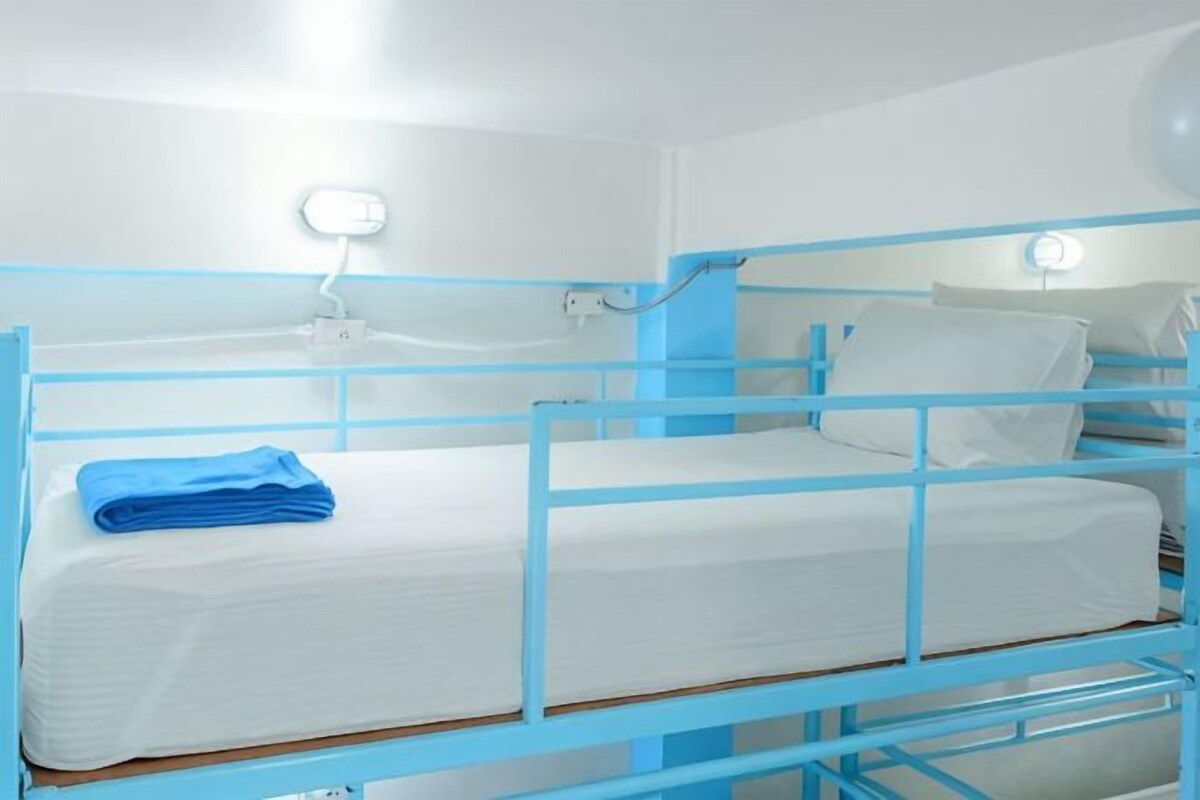 Bed In 12-Bed Mixed Dormitory