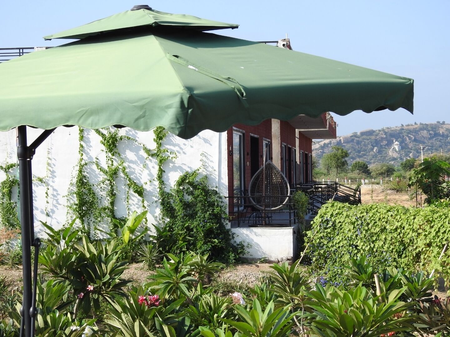 Un edificio con un paraguas verde, rodeado de abundante vegetación y un paisaje montañoso.
