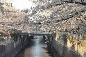 미분류 이미지, 4/76장, 버튼
