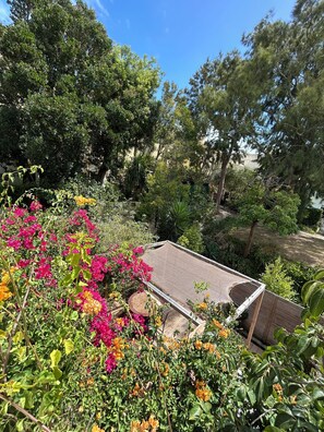 A garden with various plants and flowers, a wooden deck, and a clear blue sky. - Cascais - House on Guincho Beach with a terrace. Pets welcome! (Cascais)