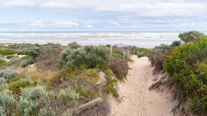 A sandy beach path leading to the ocean, surrounded by dense shrubbery.
