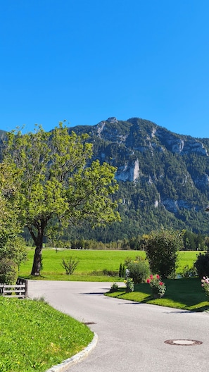 A paved path leading to a mountain with a large tree on the left. - 47-square-meter vacation apartment for up to 4 people with a terrace (Inzell)