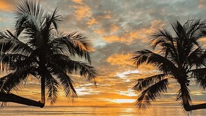 Escena de playa con palmeras y un atardecer.