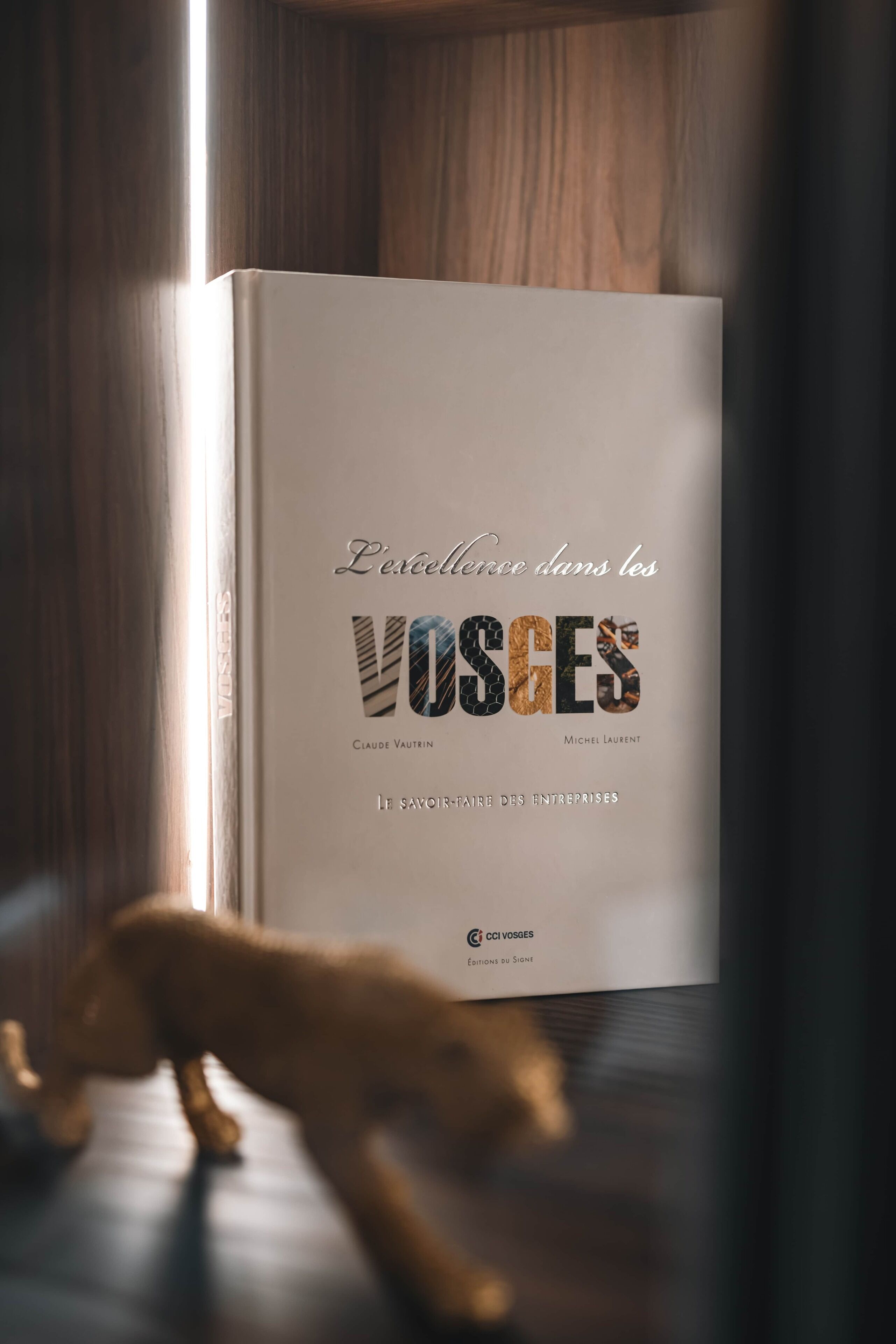 Un libro titulado 'L'excellence dans les VOSGES' de Claude Vaustrin y Michel Laurent, sobre una superficie de madera con un juguete de elefante desenfocado en primer plano.