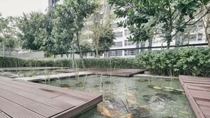 A koi pond with clear water and wooden platforms. - Lakeville KL Taman Wahyu City Centre [3Bedroom Sleep 5] (Kuala Lumpur)