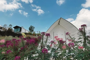 Interior - The Haus at Khaokho (Khao Kho)