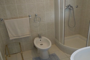 Shower, hair dryer