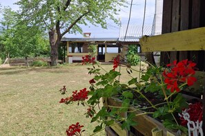 المنطقة المحيطة بالمنشأة