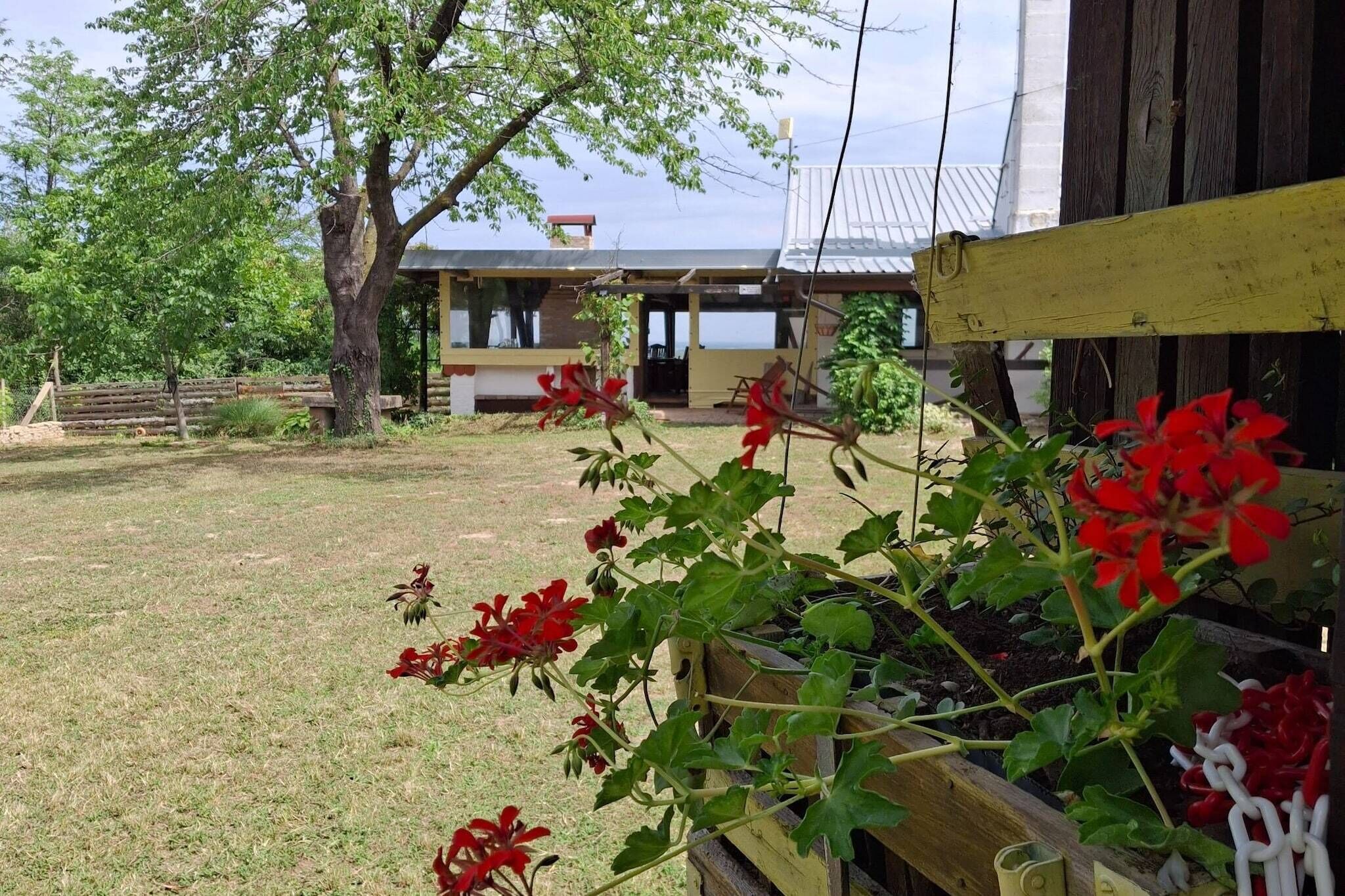 Terrein van de accommodatie