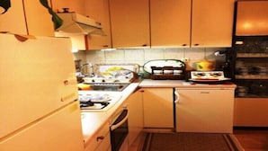 A compact kitchen with a stove, sink, and a small refrigerator. - Holiday home with parking and 2 rooms (Dubrovnik)
