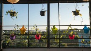Una finestra con diversi vasi sospesi e vista su del verde all'esterno.
