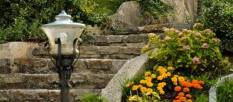 Standard One Bedroom Apartment