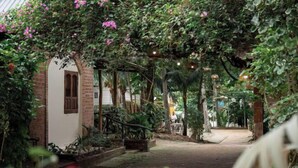A covered pathway leading to a building with a brick facade and a small porch area. - Canaan Beach Home (Phu Quoc Island)