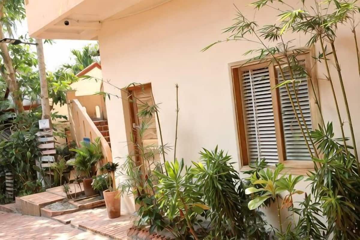 A building with a staircase, potted plants, and a window with shutters.