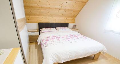 Sunny Two Bedroom Retreat in Beautiful Bizeljsko - Two Bedroom Country House