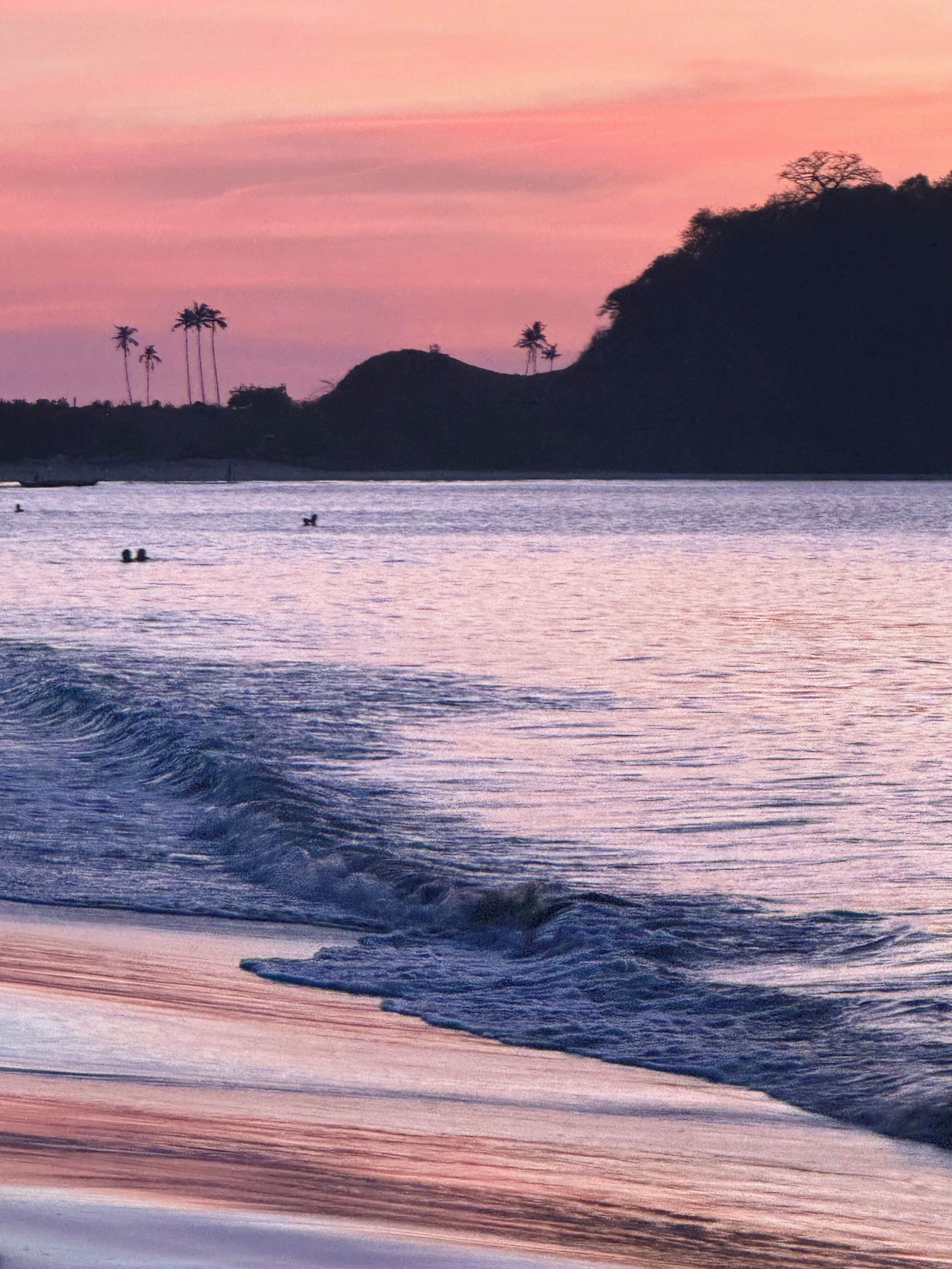 A beach scene with waves, palm trees, and a sunset.