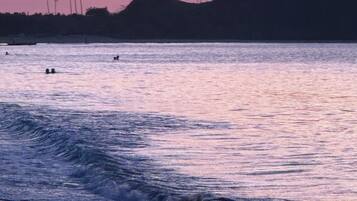 A beach scene with waves, palm trees, and a sunset.