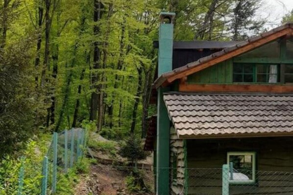 Exterior - Holiday Home Green Side Cottage - Two Bedroom Holiday Home (Samobor)